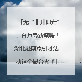 无“非升即走”、百万高薪诚聘！湖北赴南京引才活动这个展台火了