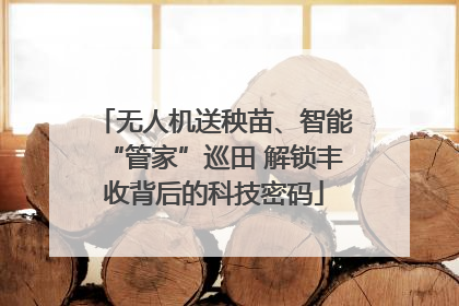 无人机送秧苗、智能“管家”巡田 解锁丰收背后的科技密码