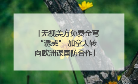 无视美方免费金穹“诱惑” 加拿大转向欧洲谋国防合作