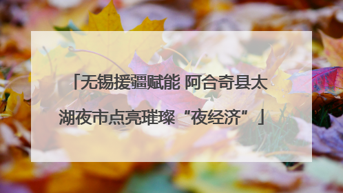 无锡援疆赋能 阿合奇县太湖夜市点亮璀璨“夜经济”