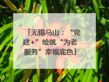 无锡马山：“党建+”绘就“为老服务”幸福底色