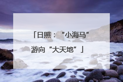 日照：“小海马”游向“大天地”