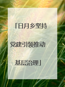日月乡坚持党建引领推动基层治理
