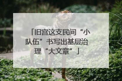 旧宫这支民间“小队伍”书写出基层治理“大文章”