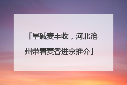 旱碱麦丰收，河北沧州带着麦香进京推介