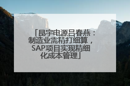 昆宇电源吕春燕：制造业需精打细算，SAP项目实现精细化成本管理