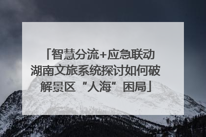 智慧分流+应急联动 湖南文旅系统探讨如何破解景区“人海”困局