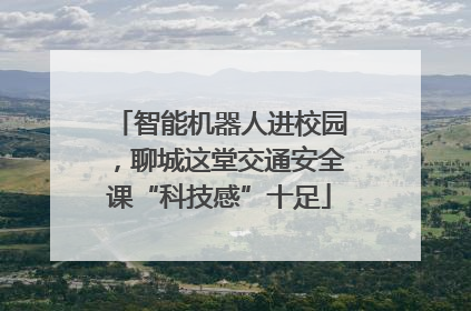 智能机器人进校园，聊城这堂交通安全课“科技感”十足