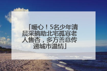 暖心！5名少年清晨采摘助北宅孤寡老人售杏，多方善意传递城市温情