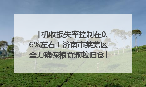 机收损失率控制在0.6%左右！济南市莱芜区全力确保粮食颗粒归仓
