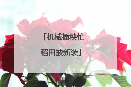 机械插秧忙 稻田披新装