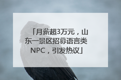 月薪超3万元，山东一景区招募语言类NPC，引发热议