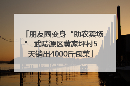朋友圈变身“助农卖场” 武陵源区黄家坪村5天销出4000斤包菜