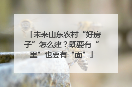 未来山东农村“好房子”怎么建？既要有“里”也要有“面”