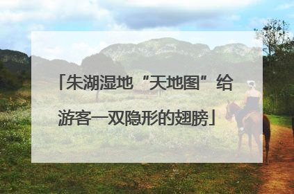朱湖湿地“天地图”给游客一双隐形的翅膀