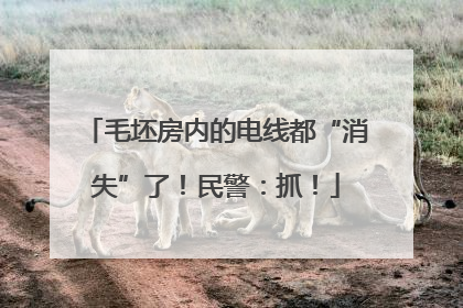 毛坯房内的电线都“消失”了！民警：抓！