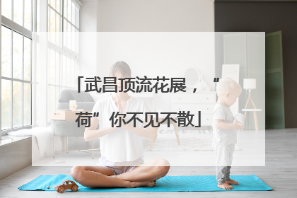 武昌顶流花展，“荷”你不见不散