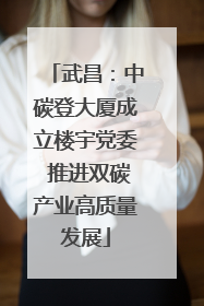 武昌：中碳登大厦成立楼宇党委 推进双碳产业高质量发展