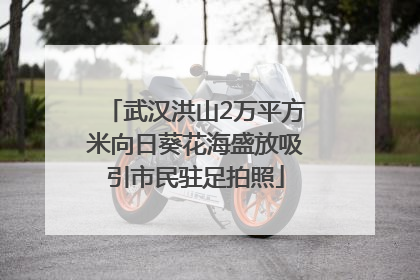 武汉洪山2万平方米向日葵花海盛放吸引市民驻足拍照