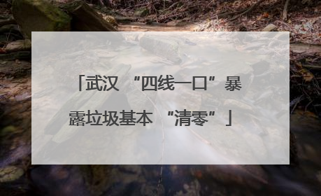 武汉 “四线一口”暴露垃圾基本 “清零”