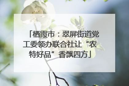 栖霞市：翠屏街道党工委领办联合社让“农特好品”香飘四方