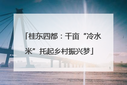 桂东四都：千亩“冷水米”托起乡村振兴梦