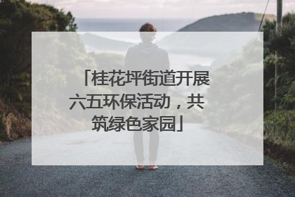 桂花坪街道开展六五环保活动，共筑绿色家园