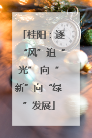 桂阳：逐“风”追“光” 向“新”向“绿”发展