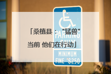 桑植县：“猛兽”当前 他们在行动