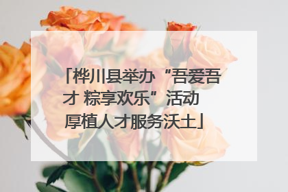 桦川县举办“吾爱吾才 粽享欢乐”活动 厚植人才服务沃土