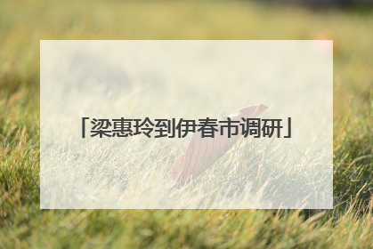 梁惠玲到伊春市调研