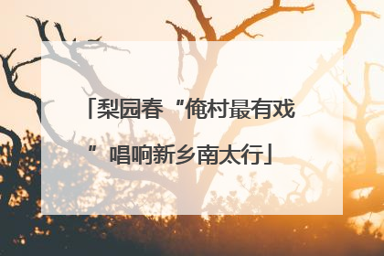 梨园春“俺村最有戏”唱响新乡南太行