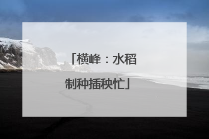 横峰：水稻制种插秧忙