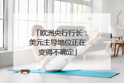 欧洲央行行长：美元主导地位正在变得不确定