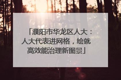 濮阳市华龙区人大：人大代表进网格，绘就高效能治理新图景