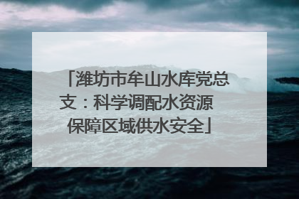 潍坊市牟山水库党总支：科学调配水资源 保障区域供水安全