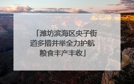 潍坊滨海区央子街道多措并举全力护航粮食丰产丰收
