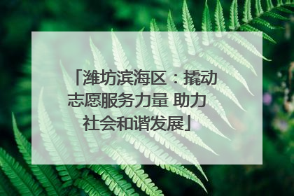 潍坊滨海区：撬动志愿服务力量 助力社会和谐发展