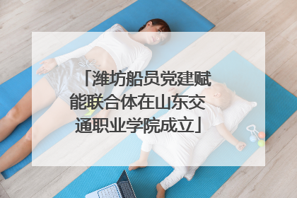 潍坊船员党建赋能联合体在山东交通职业学院成立