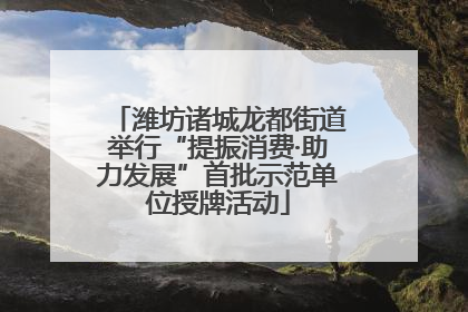 潍坊诸城龙都街道举行“提振消费·助力发展”首批示范单位授牌活动