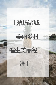 潍坊诸城：美丽乡村催生美丽经济