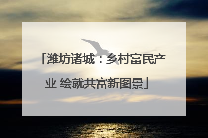 潍坊诸城：乡村富民产业 绘就共富新图景