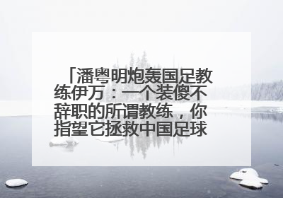 潘粤明炮轰国足教练伊万：一个装傻不辞职的所谓教练，你指望它拯救中国足球！此前曾多次发文评价国足