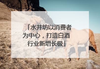 水井坊以消费者为中心，打造白酒行业新增长极