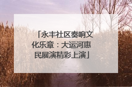 永丰社区奏响文化乐章：大运河惠民展演精彩上演