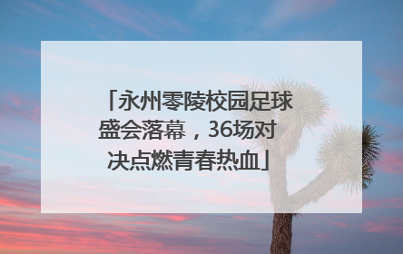 永州零陵校园足球盛会落幕，36场对决点燃青春热血
