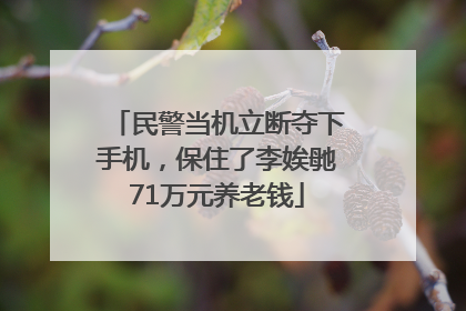 民警当机立断夺下手机，保住了李娭毑71万元养老钱