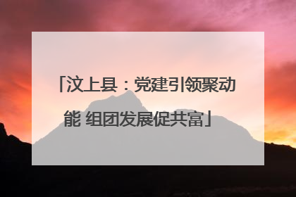 汶上县：党建引领聚动能 组团发展促共富
