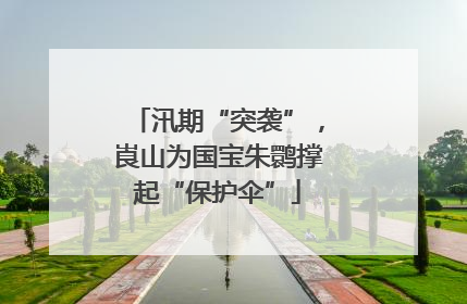 汛期“突袭”，崀山为国宝朱鹮撑起“保护伞”