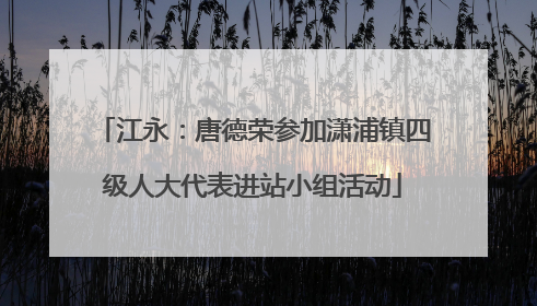 江永：唐德荣参加潇浦镇四级人大代表进站小组活动